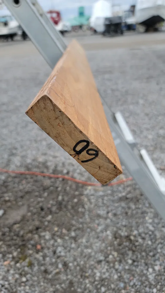 Teak from Noah's image indicator(3)