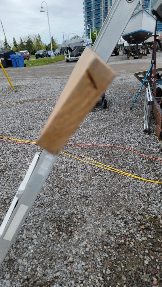 Teak from Noah's image indicator(4)