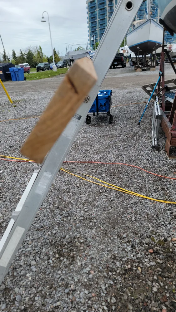 Teak from Noah's image indicator(5)