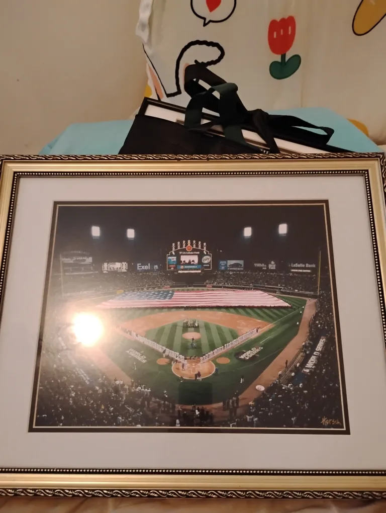 Framed US Cellular Field 7th Game Photo thumbnail