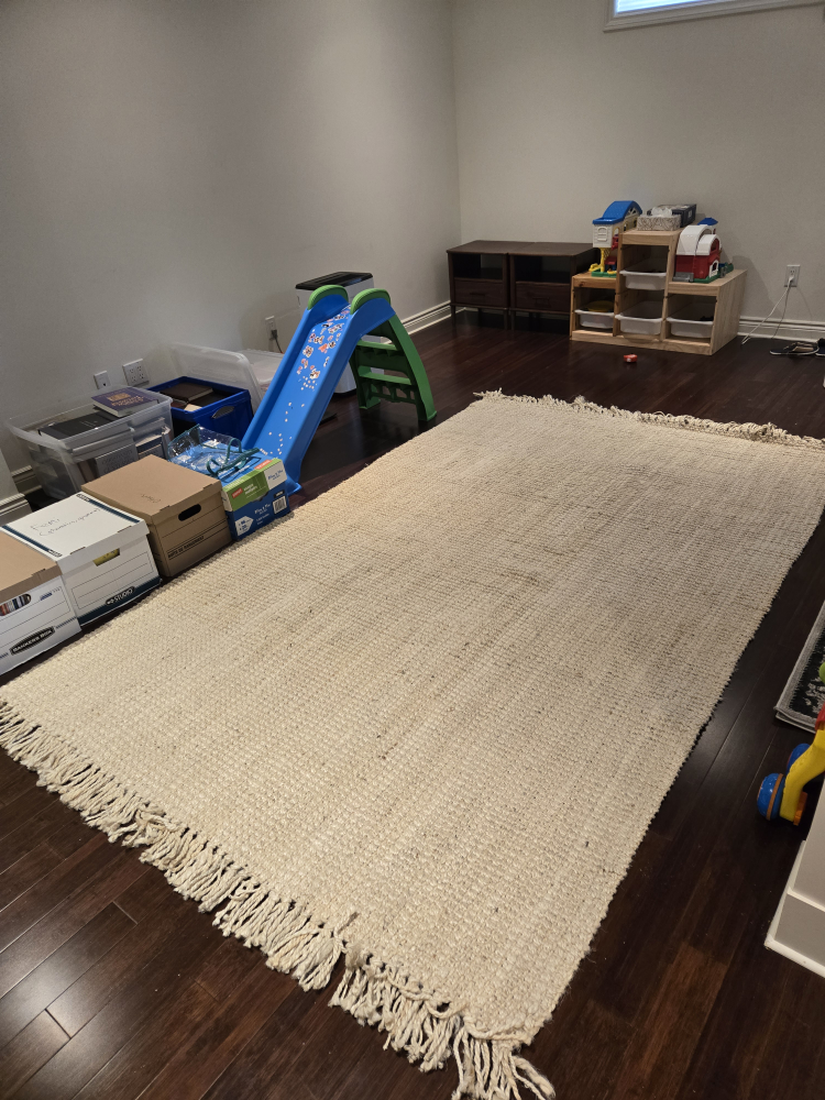 Beige Handwoven Jute Rug 6 x 9ft (EUC)