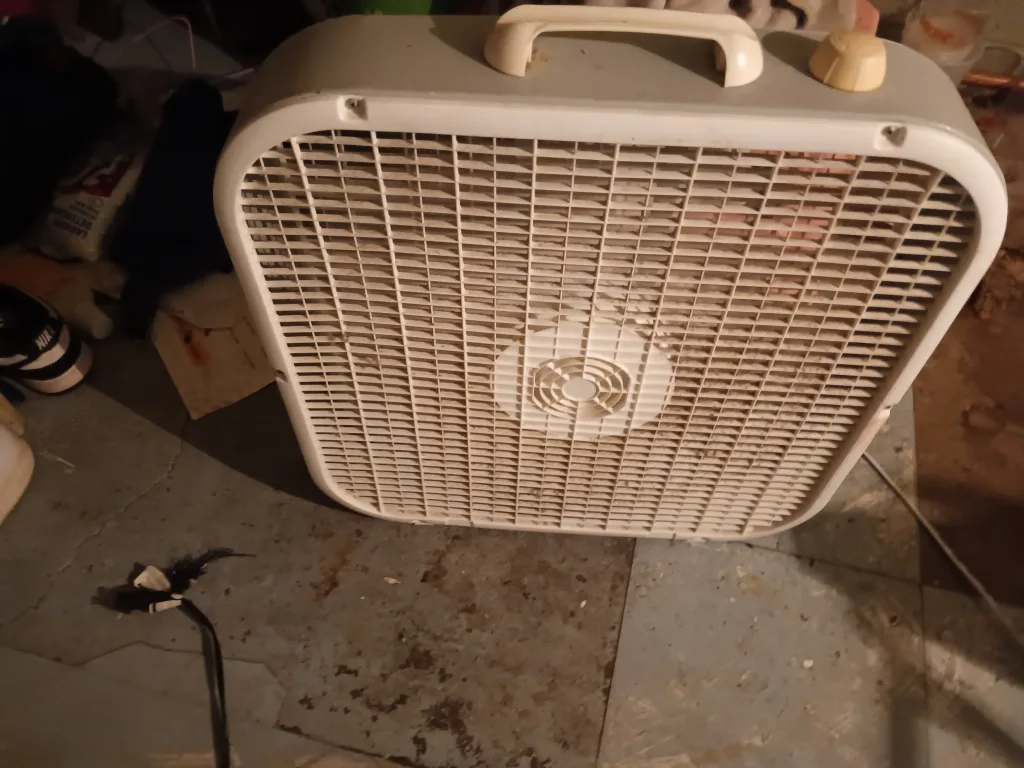 White Box Fan thumbnail