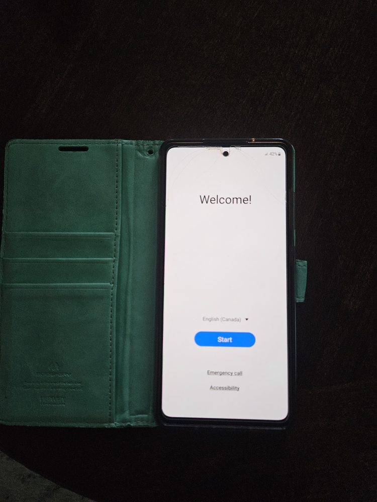 Samsung S20 FE with teal phone case/wallet