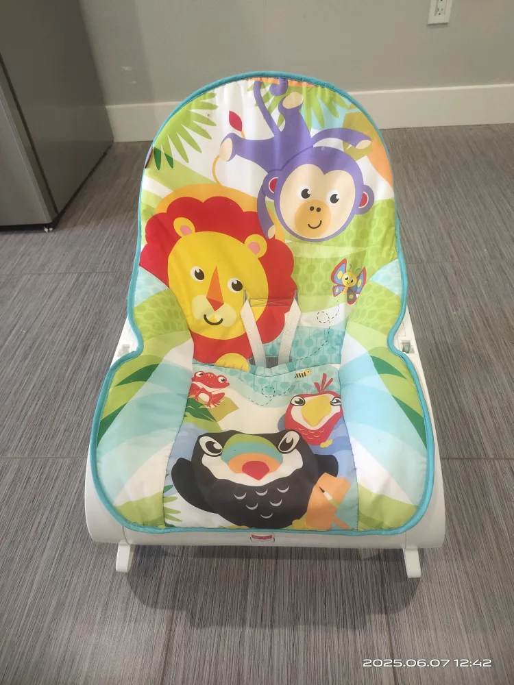 Fisher-Price Infant Rocker thumbnail