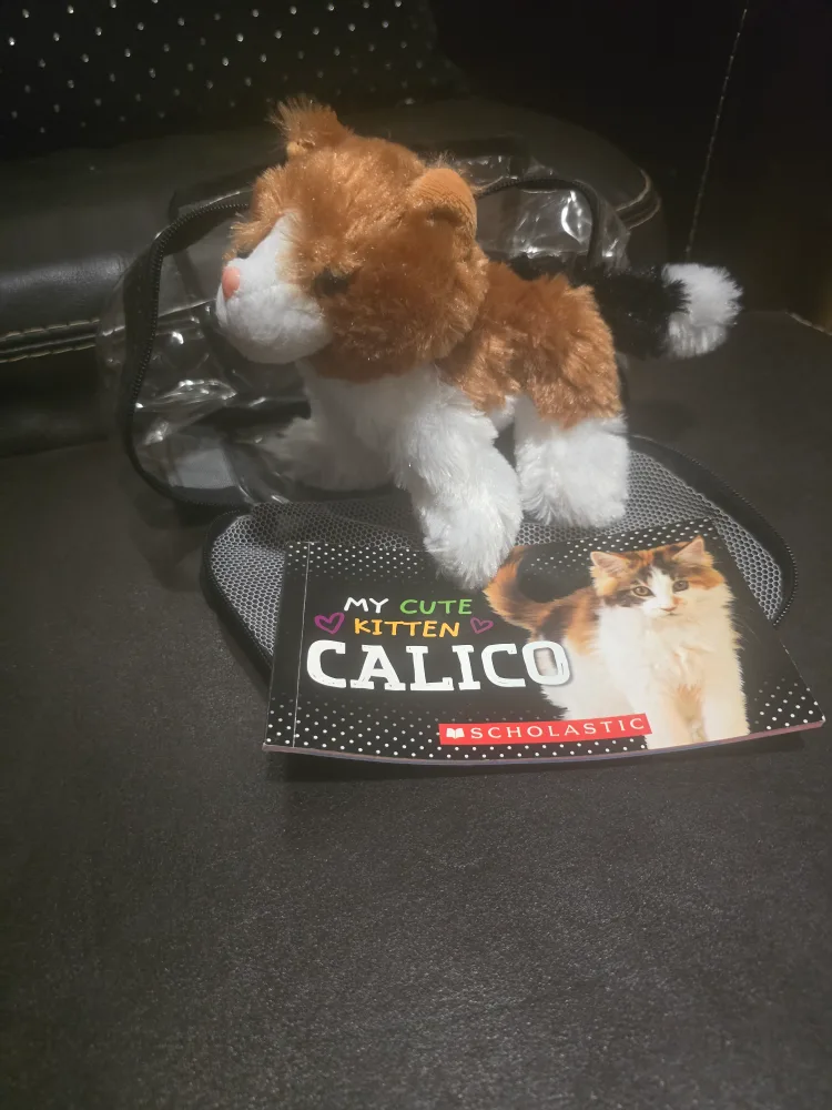 My Cute Kitten Calico Book and Plush thumbnail