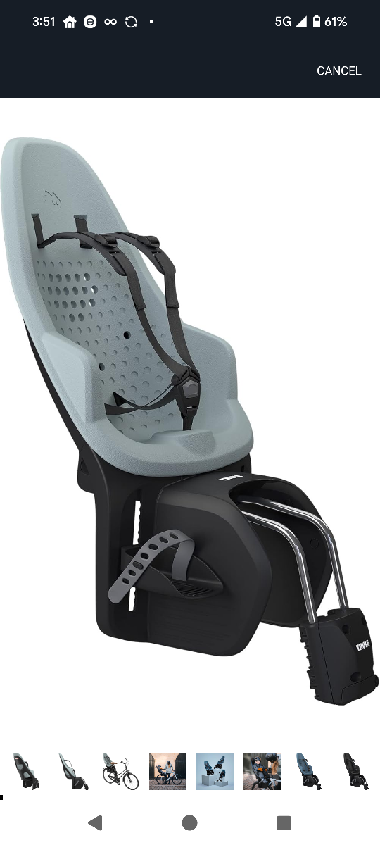 Thule Yepp 2 Rear FRAME Mount Child Bike Seat Alaska color - photo 2