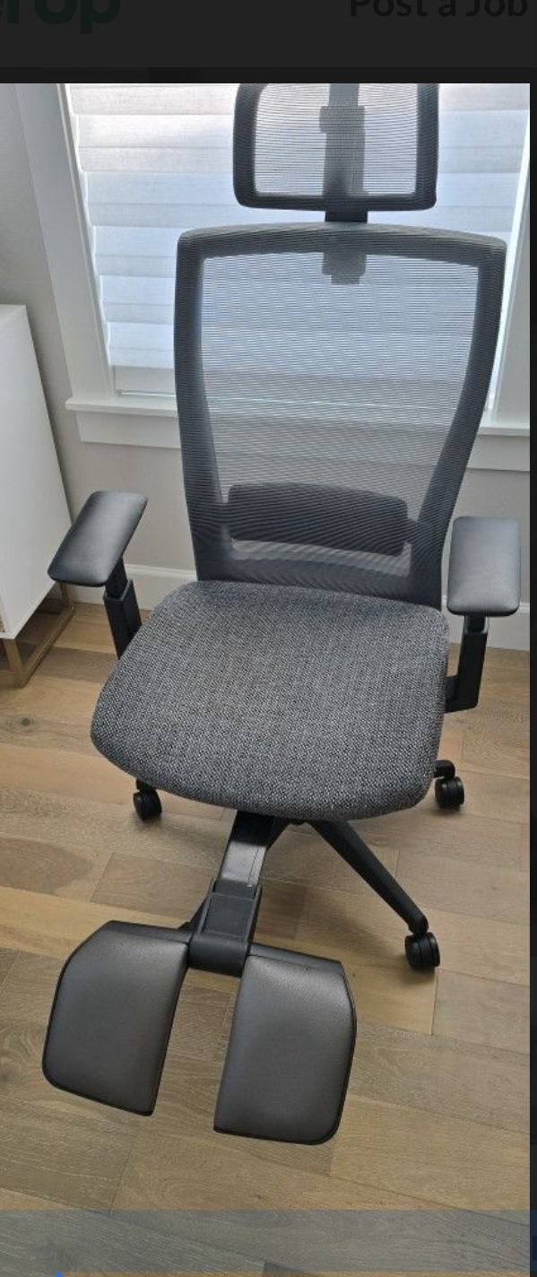Autonomous Ergonomic Office Chair with Headrest