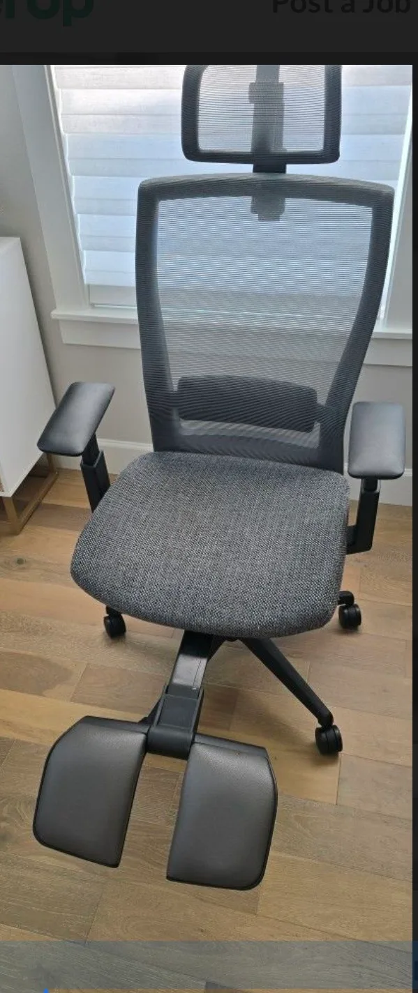 Autonomous Ergonomic Office Chair with Headrest thumbnail