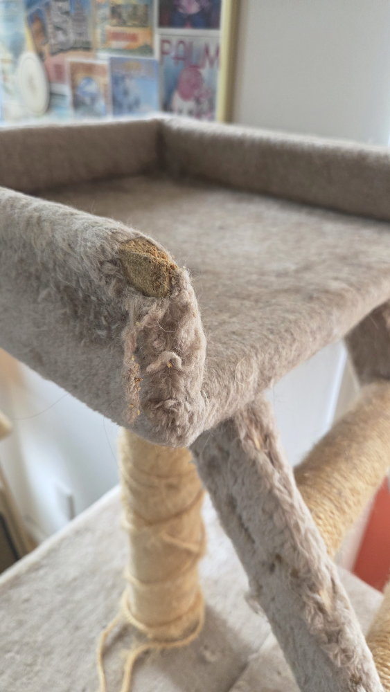 🥕 Cat Tree - photo 4