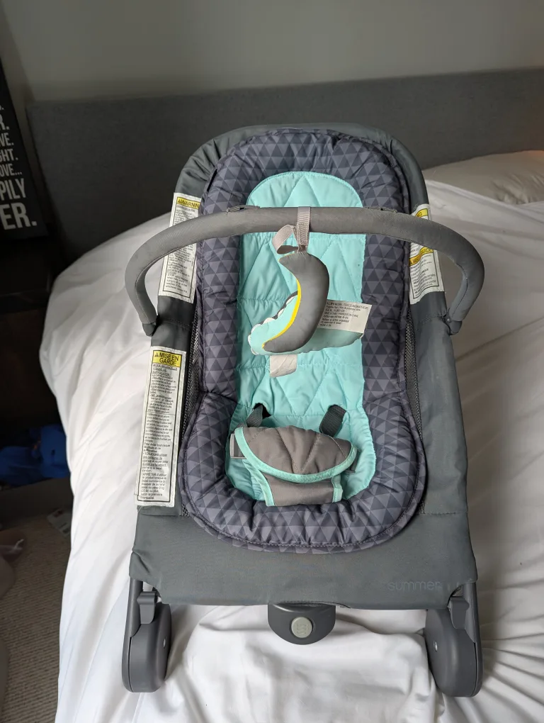Summer Infant Baby Bouncer image indicator(2)
