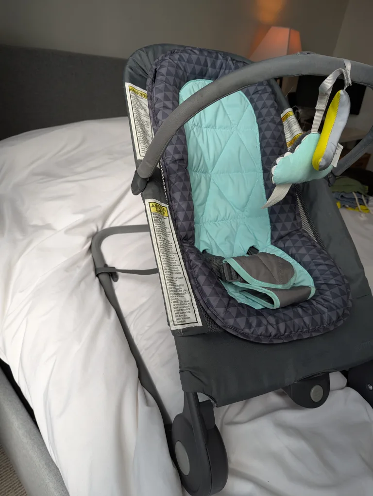 Summer Infant Baby Bouncer image indicator(4)