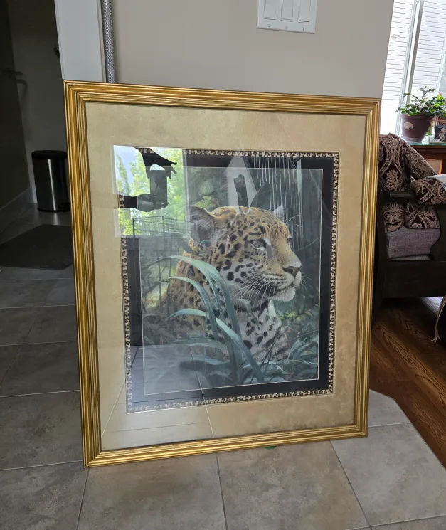 Framed Jaguar Art Print thumbnail