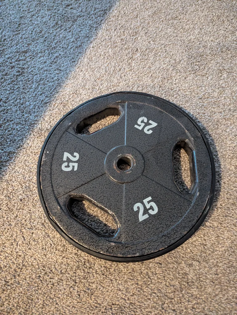 25lb Weight Plate thumbnail