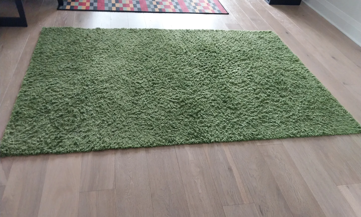 Green Shag Rug from Ikea image indicator(2)