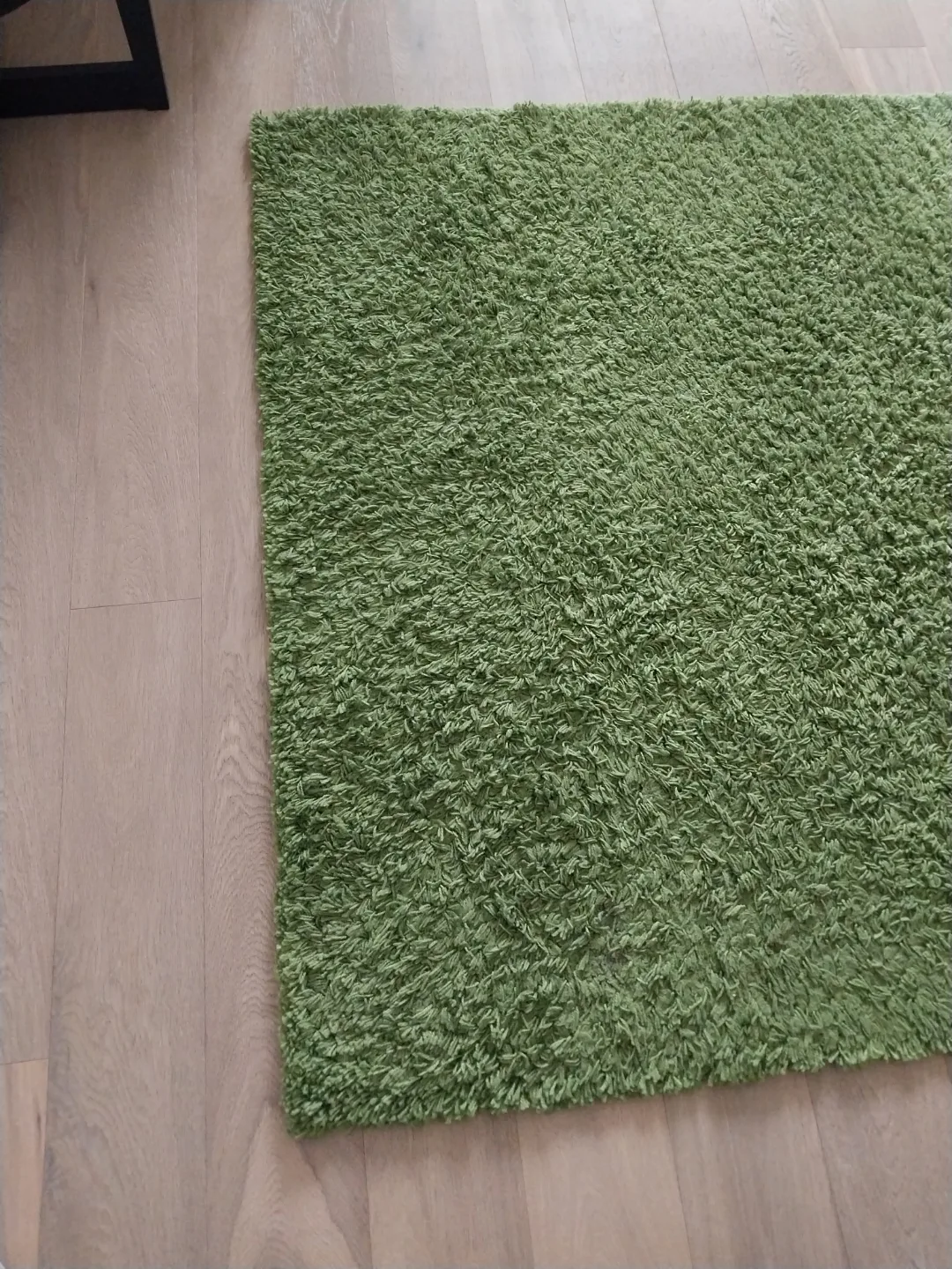Green Shag Rug from Ikea image indicator(5)
