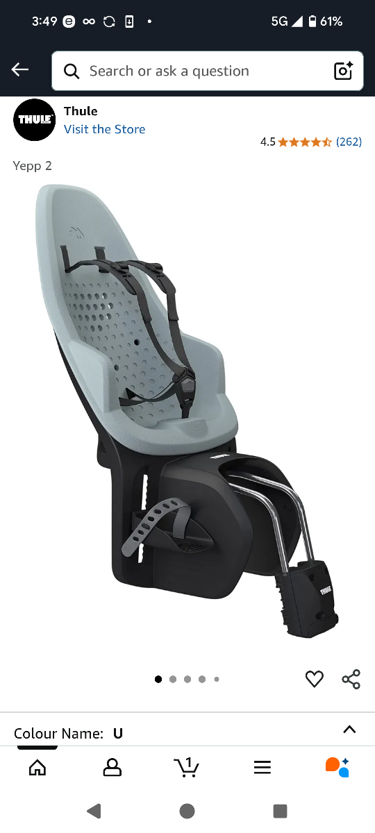 Thule Yepp 2 Rear FRAME Mount Child Bike Seat Alaska color