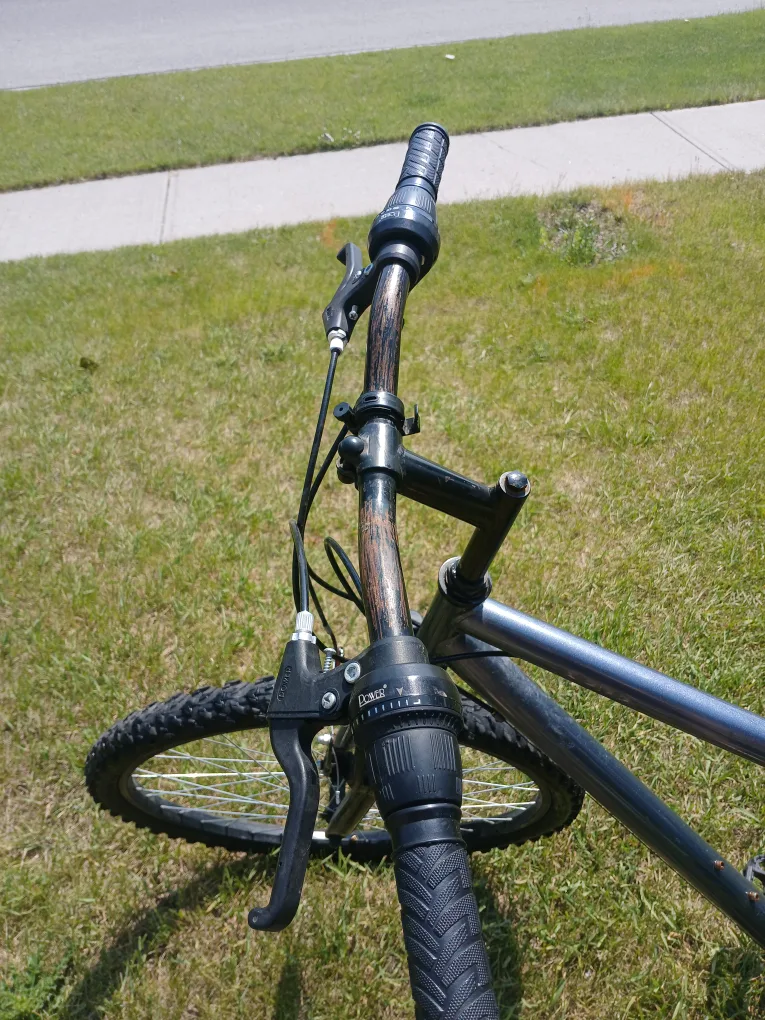 Mountain Bike first come first served image indicator(5)