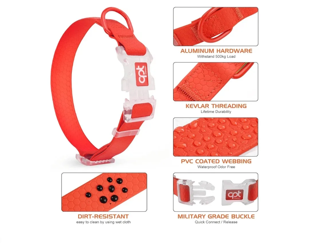 Dog Collar - Size M image indicator(4)