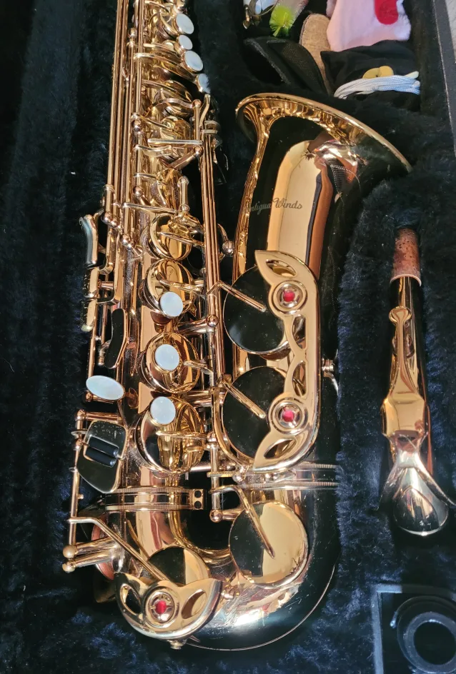 Antigua Winds Student Alto Saxophone image indicator(4)