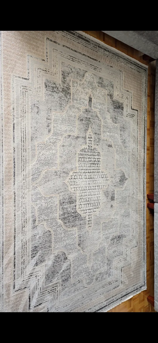 Area Rug - Beige & Gray image indicator(2)