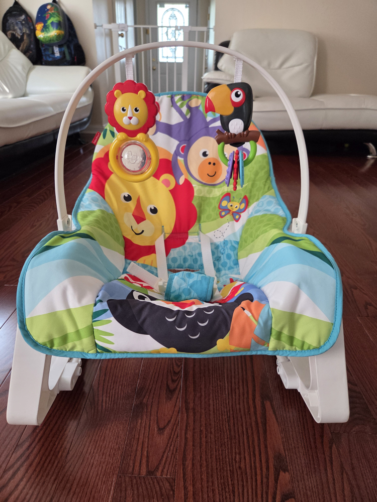 Fisher-Price Infant Rocking Chair