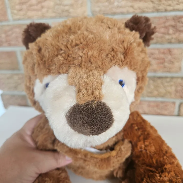 Zoobies Eric Carle Brown Bear Plush Storybook 11" image indicator(10)