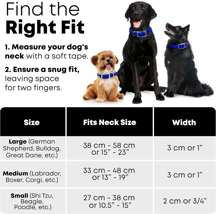 Reflective Collar and Leash Set - Size S image indicator(3)