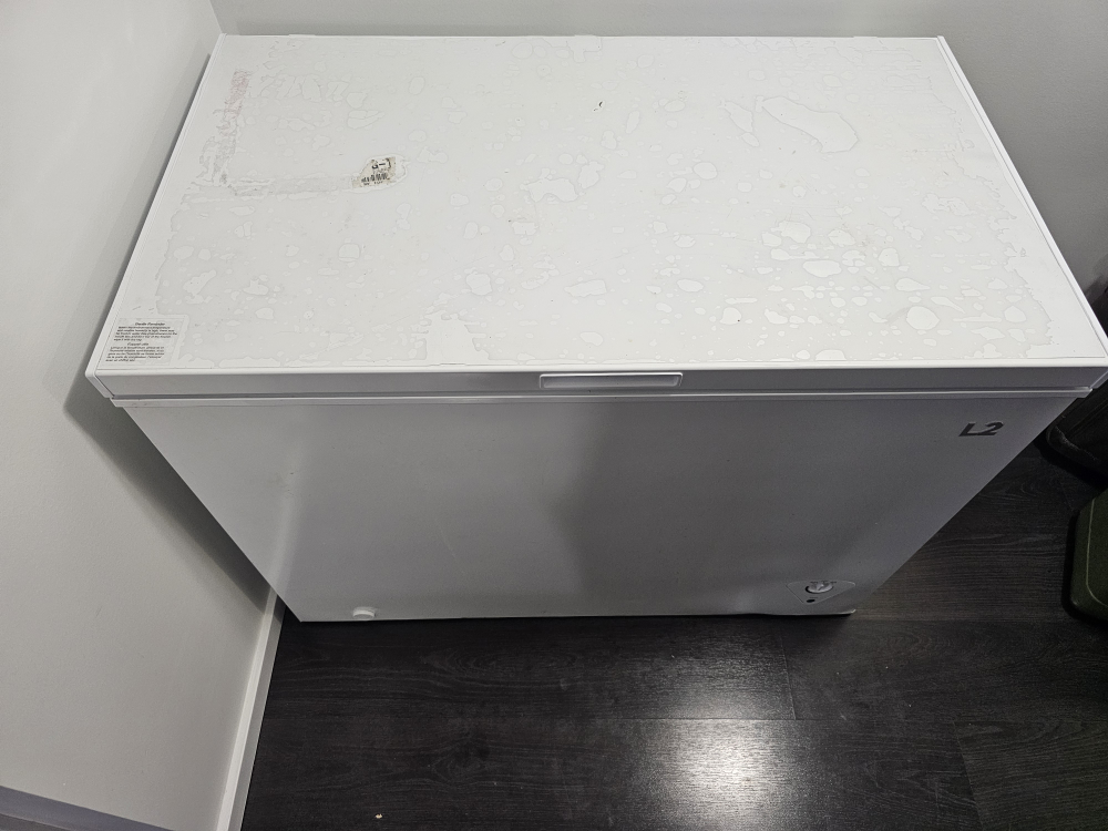 L2 Chest Freezer - White (2.o cu.ft) - photo 2