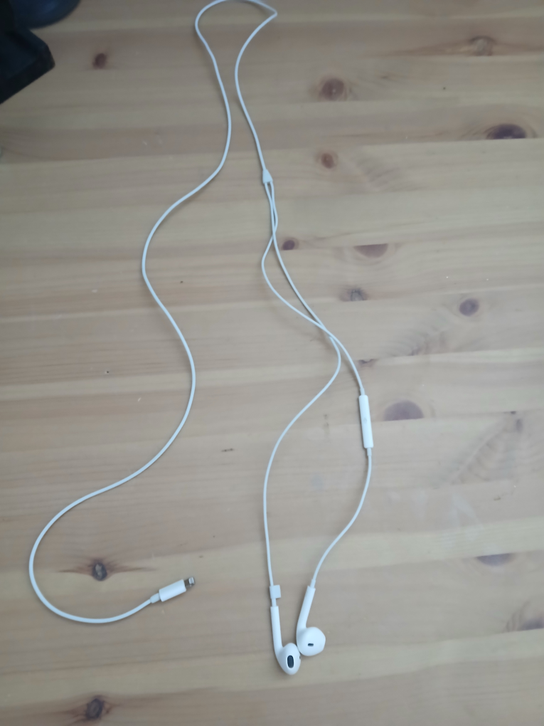 Apple Earbuds #freecycle - photo 2