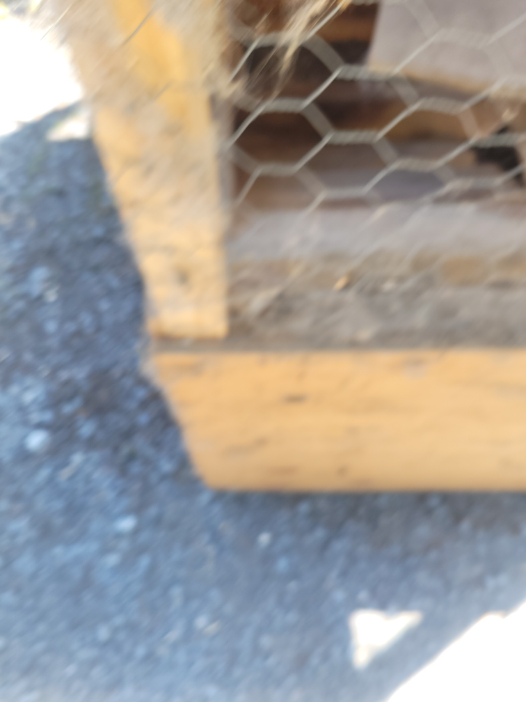 Handmade Wooden rabbit cage - photo 3