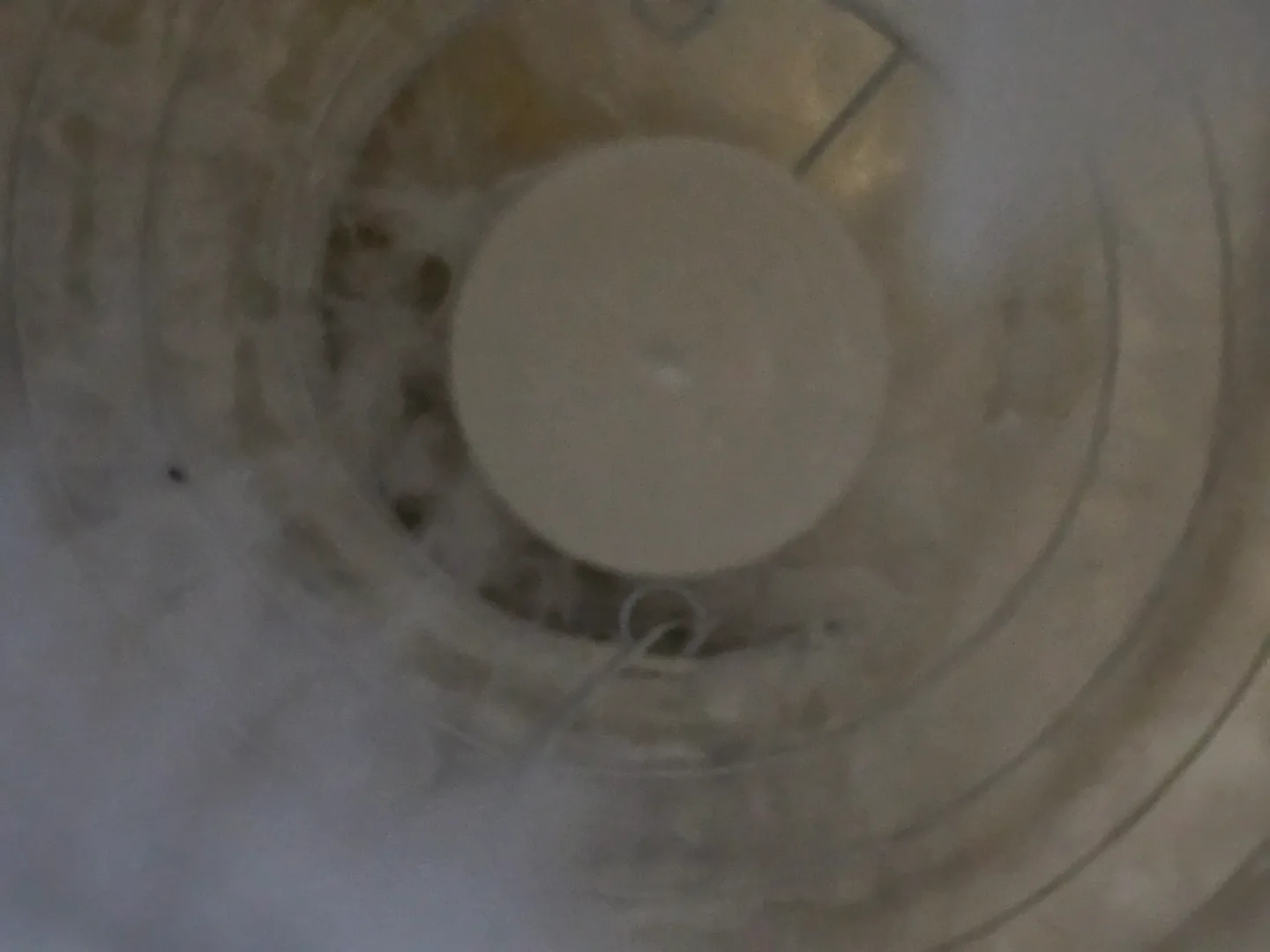 4x Feather Pendant Light image indicator(6)