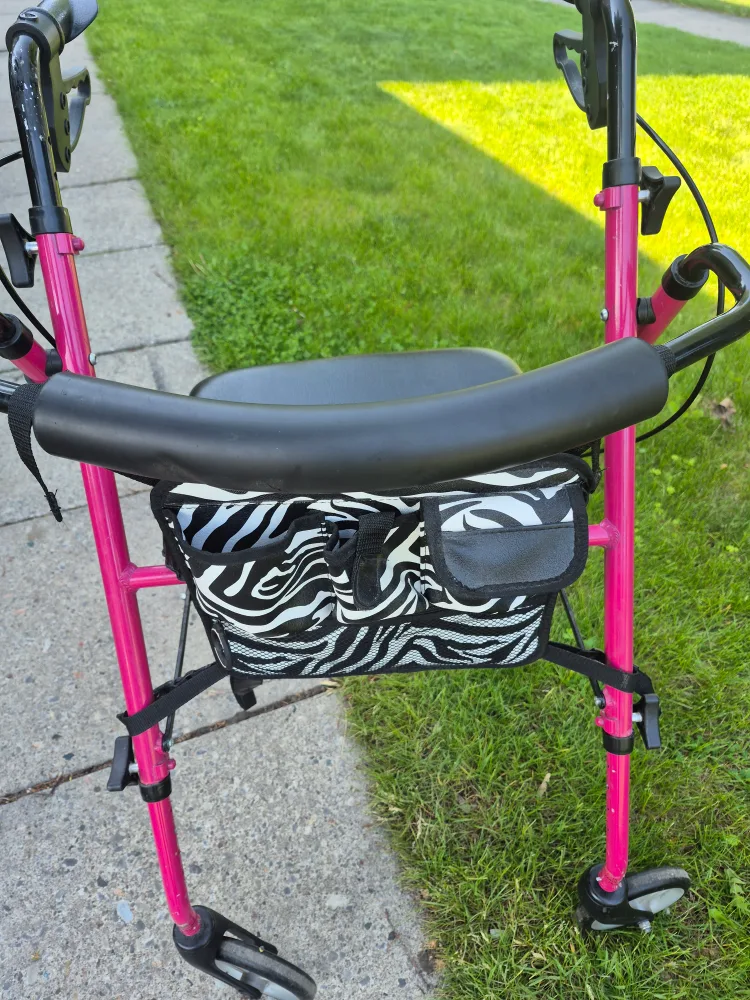 Pink Walker with Zebra Bag image indicator(3)