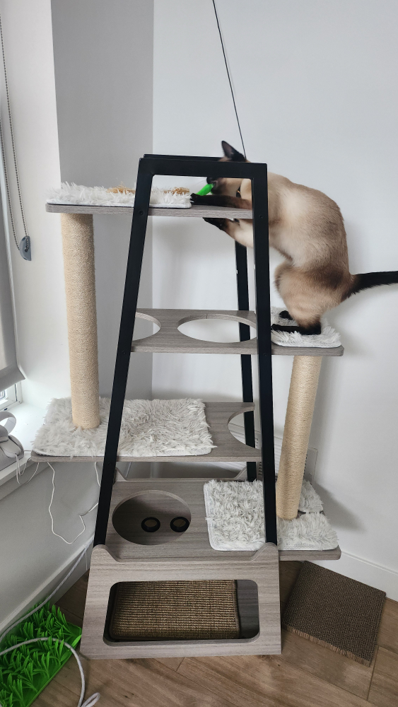 Cat Tree with Scratching Posts