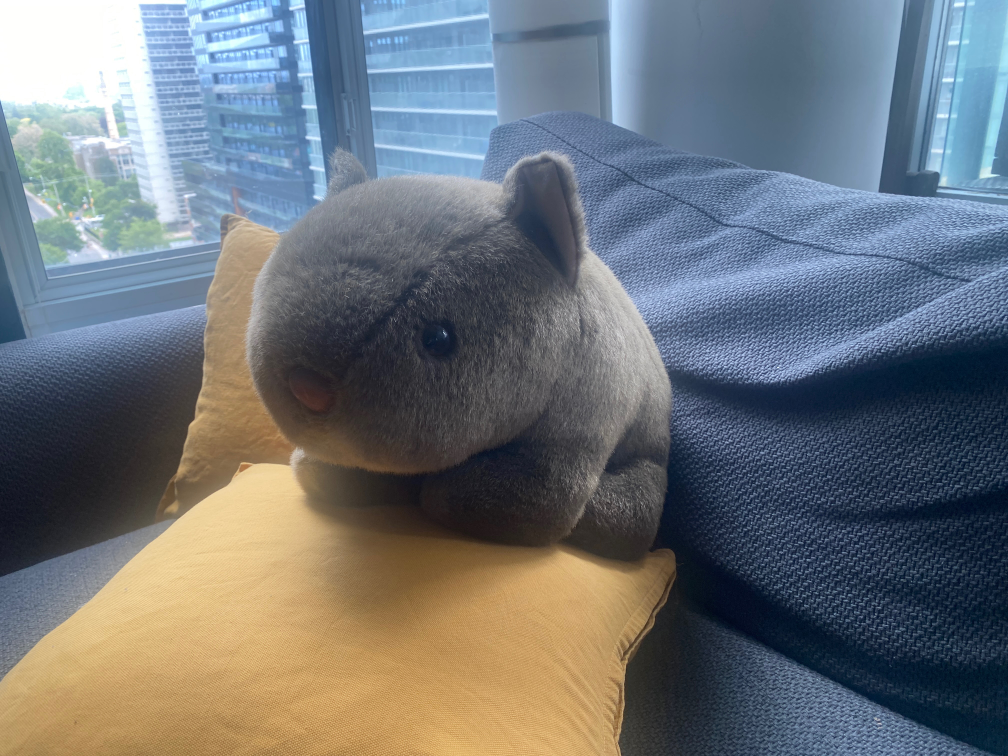 Life sized Stuffed Wombat