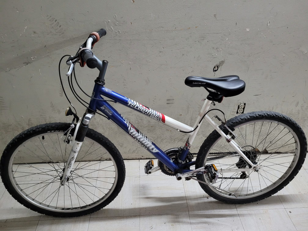 Infinity Telluride Bike