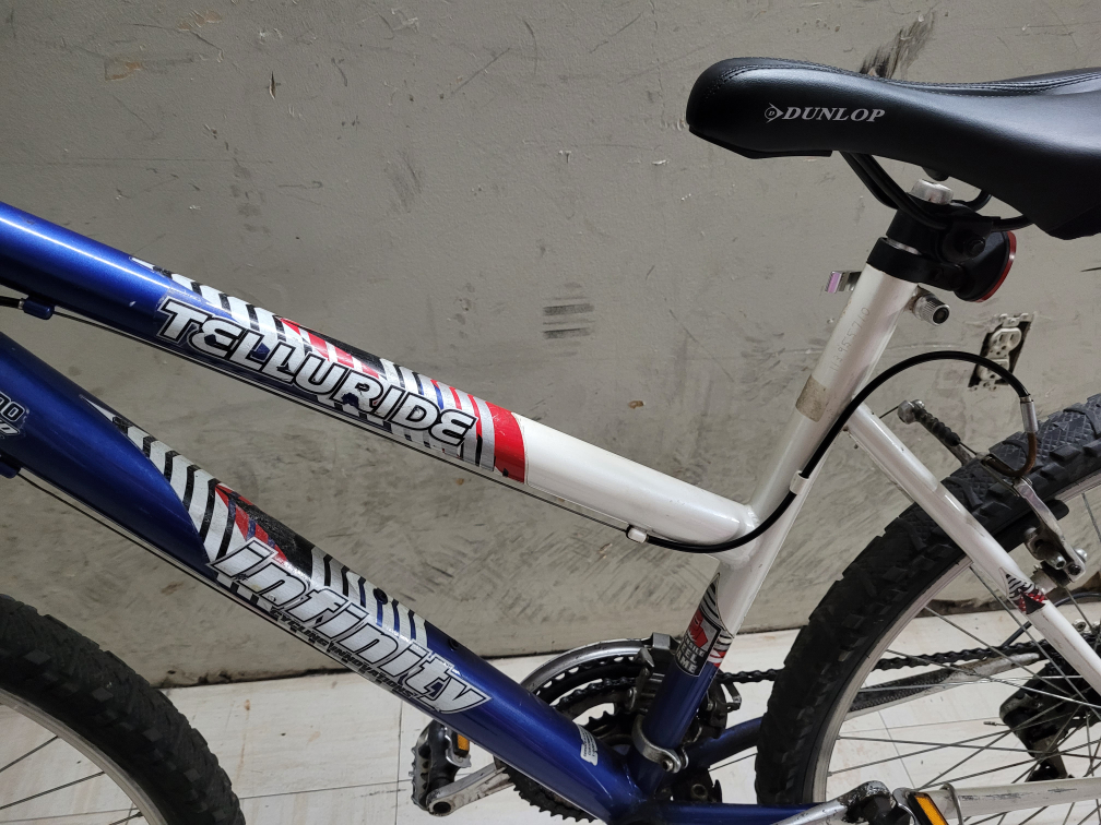 Infinity Telluride Bike - photo 2