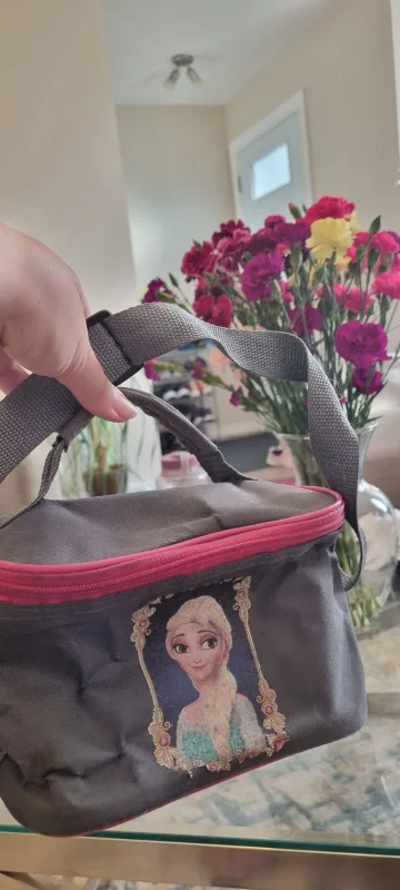Lunch Bag #freecycle thumbnail