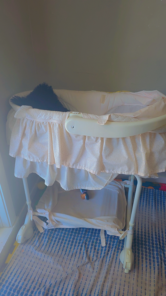 Used Bassinet with Storage