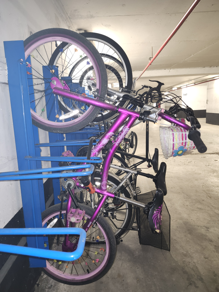 Purple Trexxie Girls Bike - 20" Dreamweaver