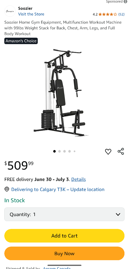 Soozier Home Gym Equipment - Multifunction Workout Machine