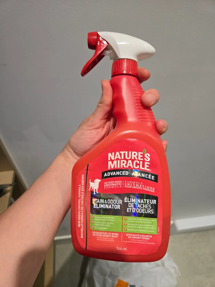 For dog's accidents, Stain & Odour Eliminator #freecycle thumbnail