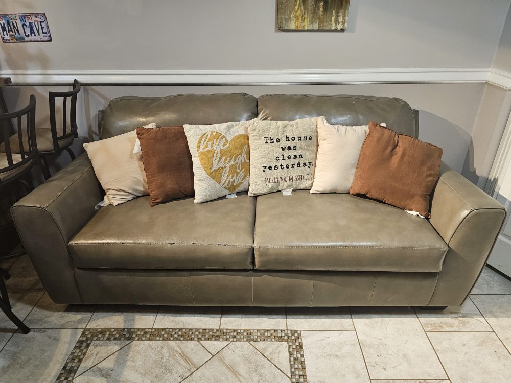 Leather Sleeper Sofa Bed