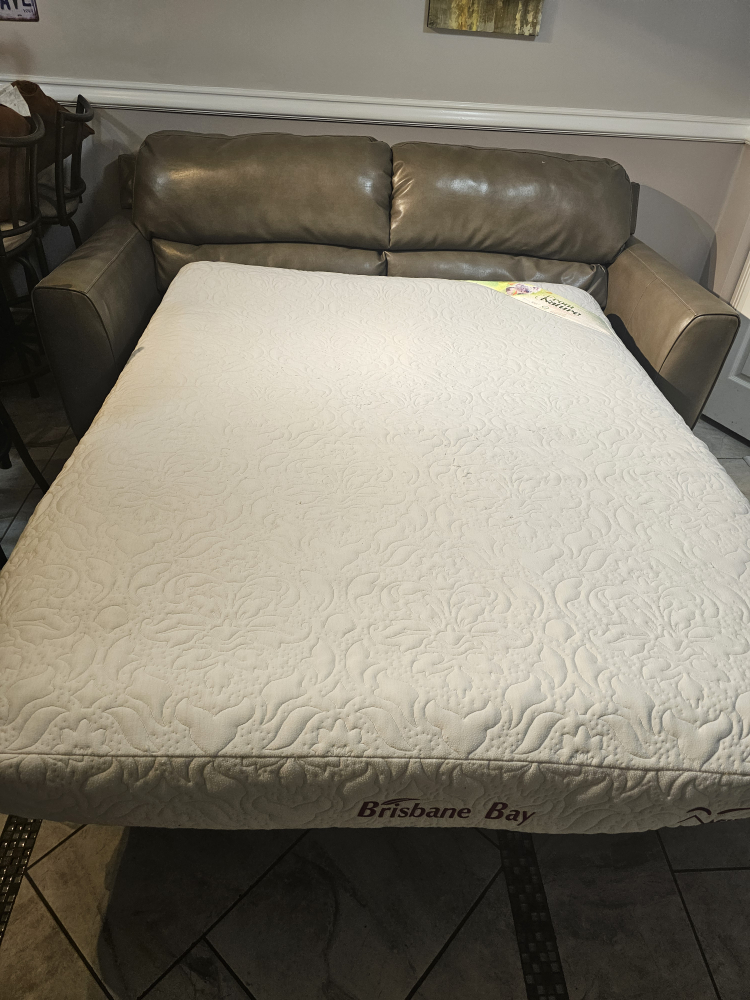 Leather Sleeper Sofa Bed - photo 4