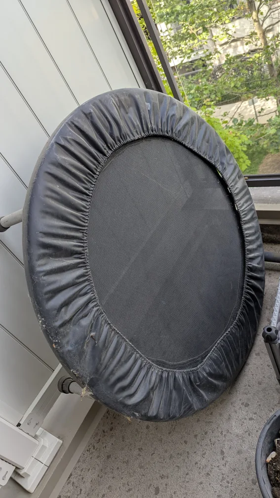 Mini Trampoline for Exercise 🥕 💚 thumbnail