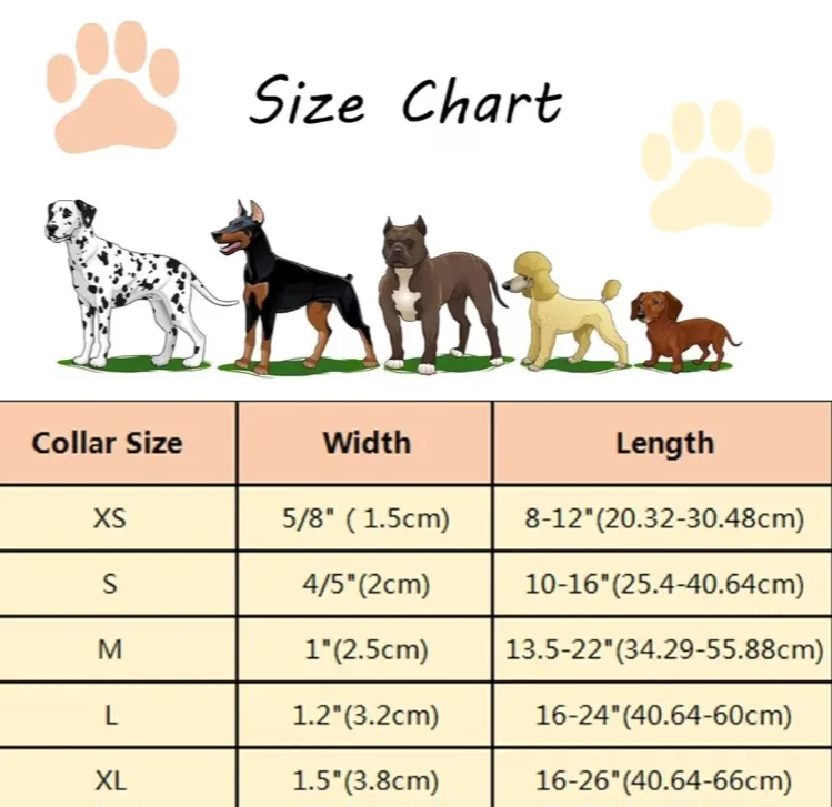 Dog Collar and Flower Set - Size M image indicator(5)