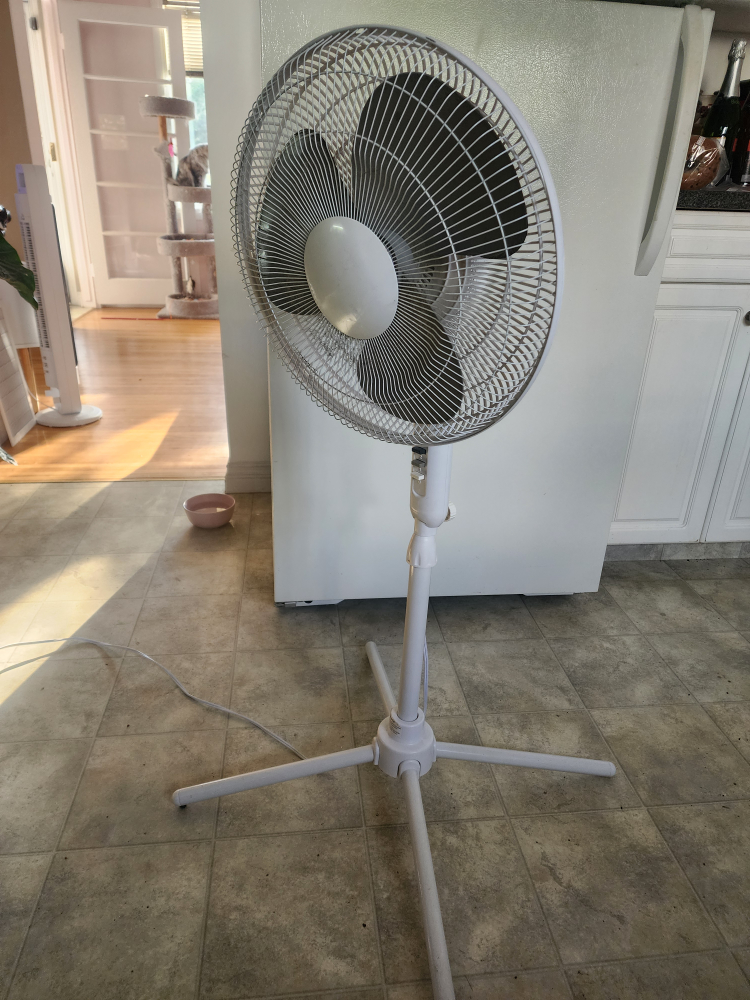 White Stand Up Fan