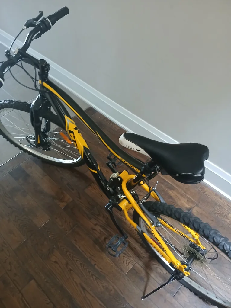 CCM Bike image indicator(4)