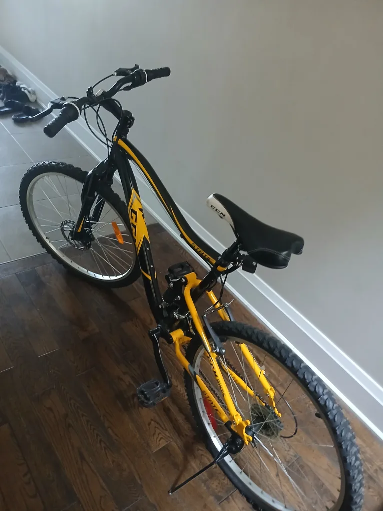 CCM Bike image indicator(6)