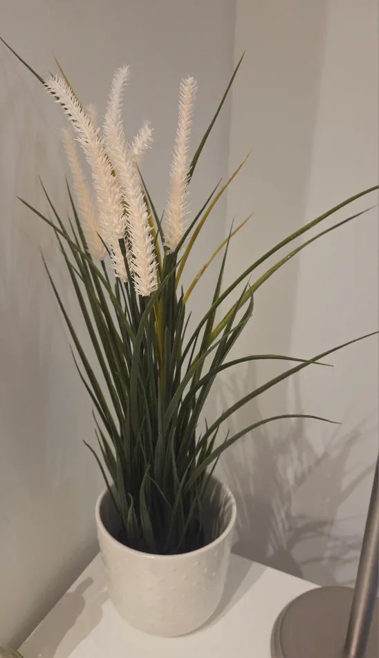 Decorative Plant in White Pot thumbnail