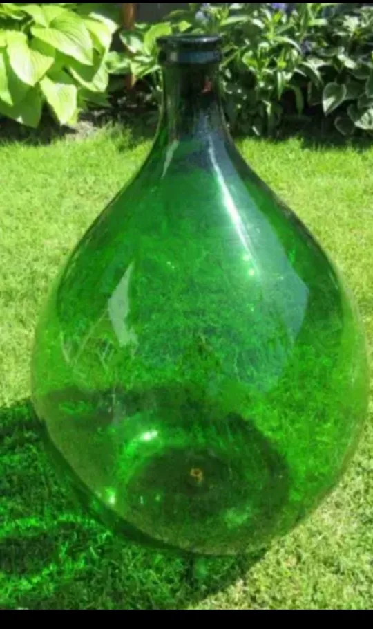 🥕Damigiana  (Large Wine glass containers) image indicator(2)